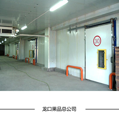 電動(dòng)冷庫門(mén)